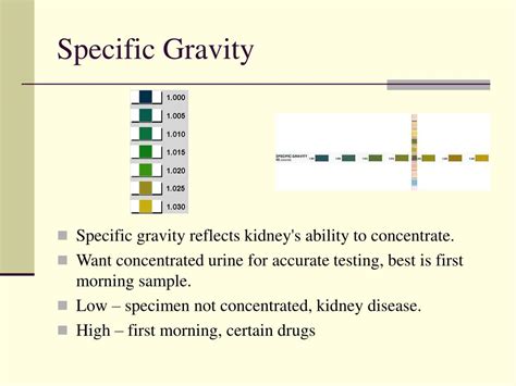 specific gravity in urine pdf